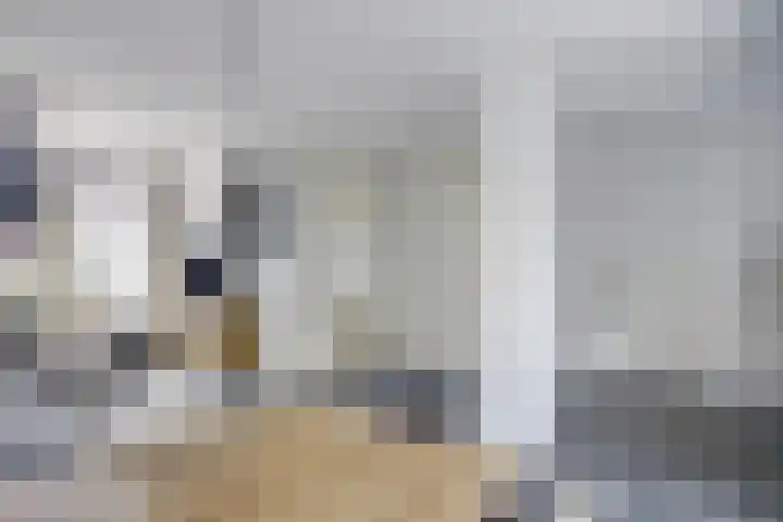 Aquamarijn 72 Heerhugowaard thumbnail 6