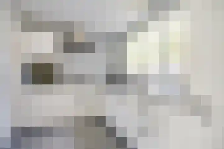 Aquamarijn 72 Heerhugowaard thumbnail 7