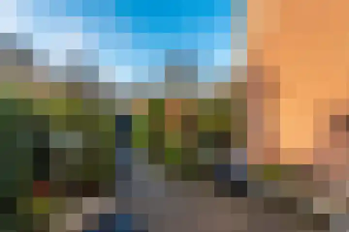 Aquamarijn 73 Heerhugowaard thumbnail 37