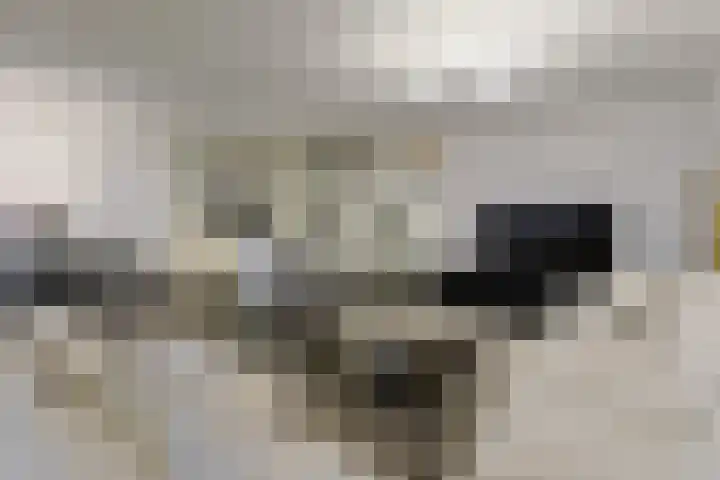 Aquamarijn 8 Alphen aan den Rijn thumbnail 11