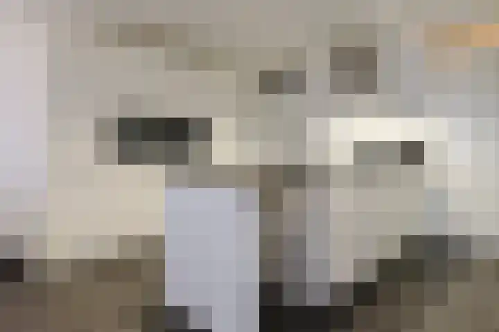 Aquamarijn 8 Alphen aan den Rijn thumbnail 15