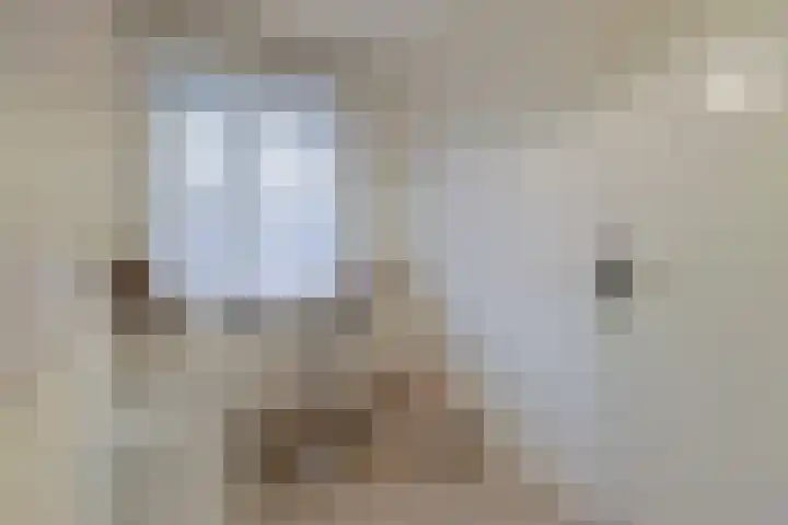 Aquamarijn 8 Alphen aan den Rijn thumbnail 25