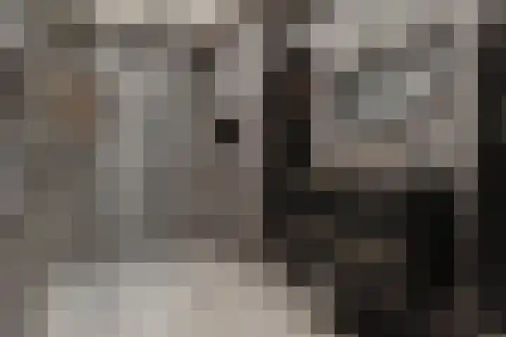 Aquamarijn 8 Alphen aan den Rijn thumbnail 27