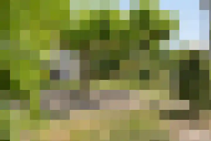 Aquamarijn 99 Alphen aan den Rijn thumbnail 22