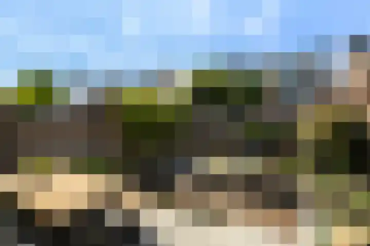 Aquamarijndrift 1 Nieuwegein thumbnail 21
