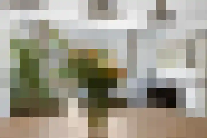 Aquamarijndrift 1 Nieuwegein thumbnail 47