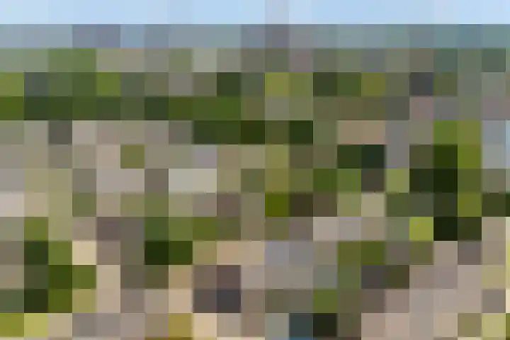 Aquamarijndrift 1 Nieuwegein thumbnail 81