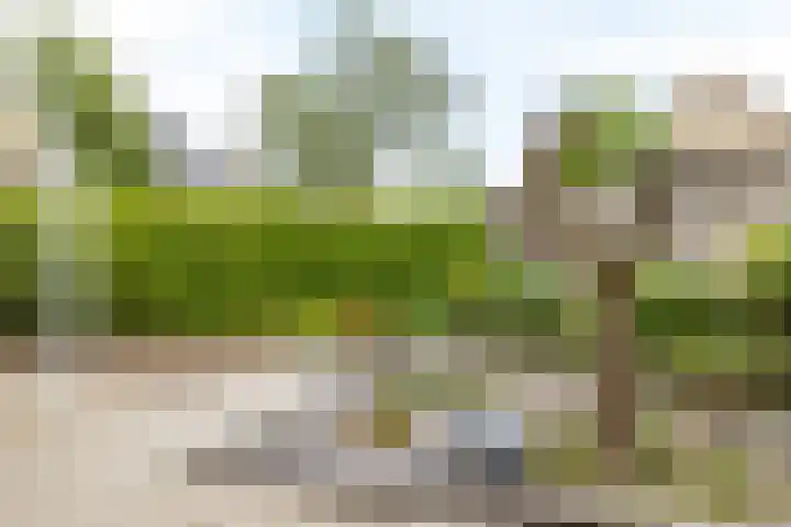 Aquamarijnhof 42 Heerlen thumbnail 33