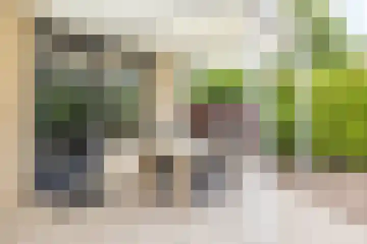 Aquamarijnhof 42 Heerlen thumbnail 35