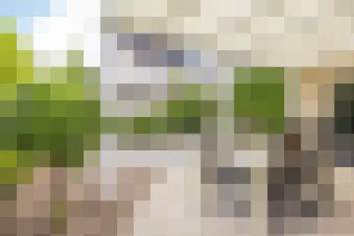 Aquamarijnhof 42 Heerlen thumbnail 36