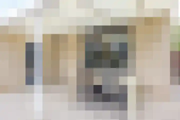 Aquamarijnhof 42 Heerlen thumbnail 39