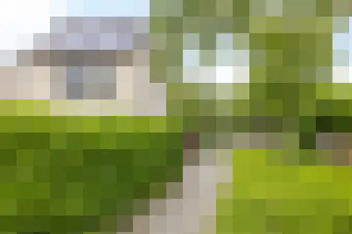 Aquamarijnhof 42 Heerlen thumbnail 41