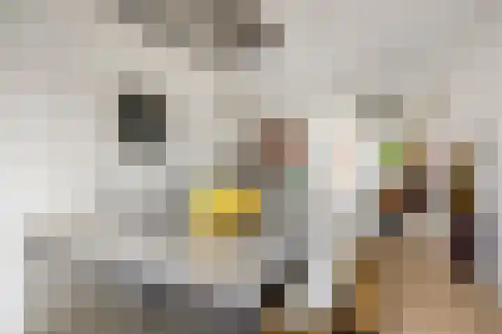 Aquamarijnhof 80 Breda thumbnail 11