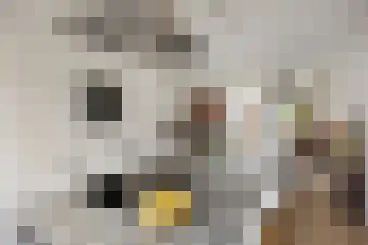 Aquamarijnhof 80 Breda thumbnail 12
