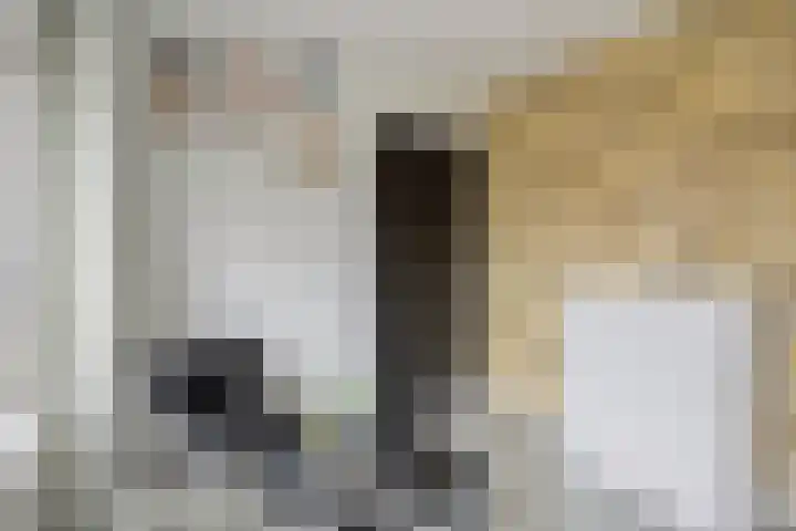 Aquamarijnhof 80 Breda thumbnail 20