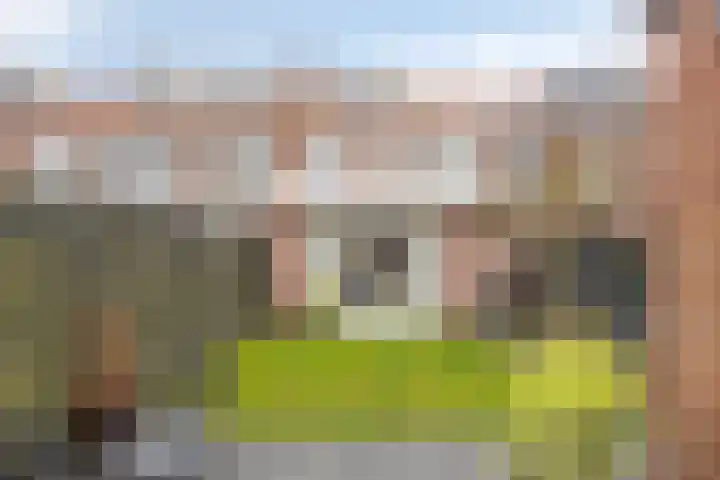 Aquamarijnhof 80 Breda thumbnail 30