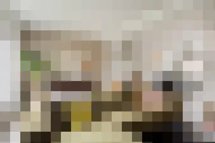 Aquamarijnhof 80 Breda thumbnail 8