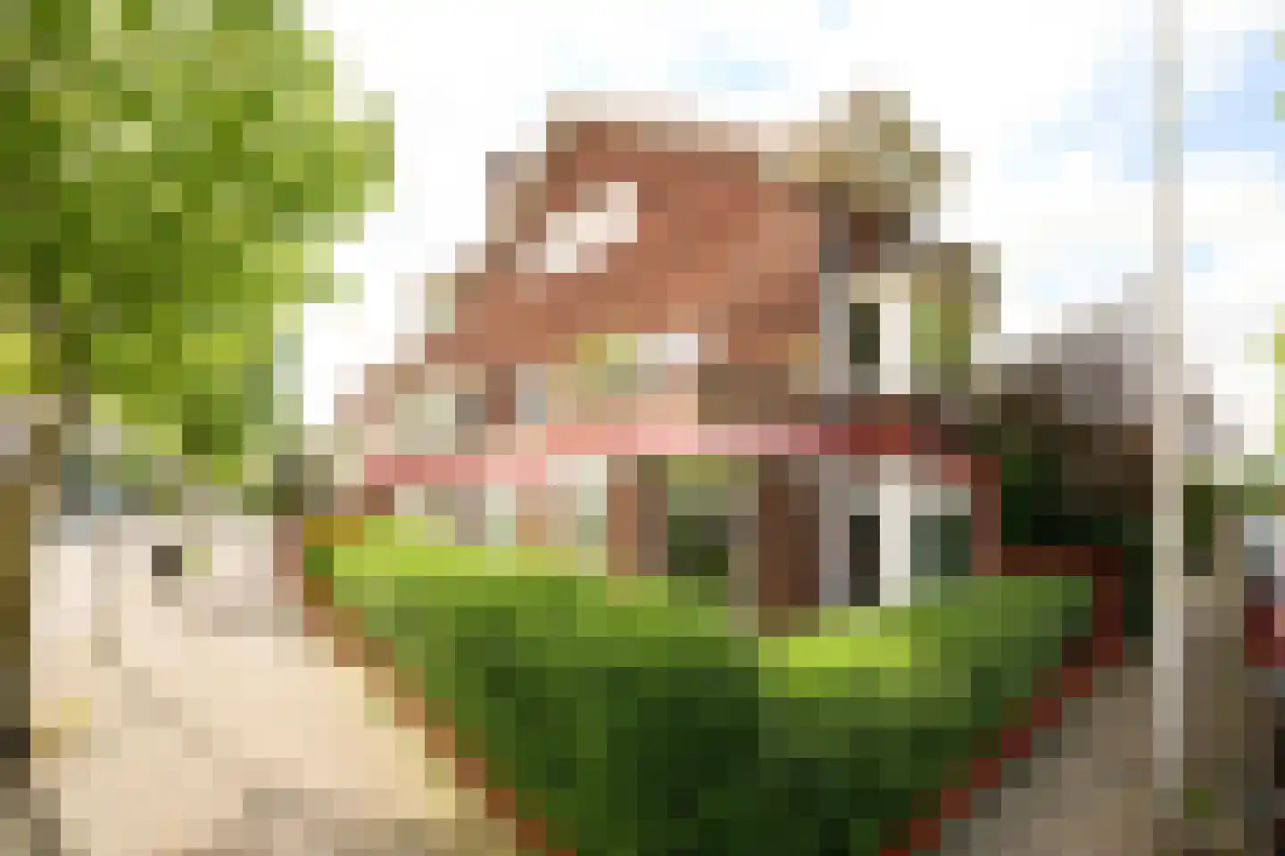 Aquamarijnlaan 17 Utrecht foto 2
