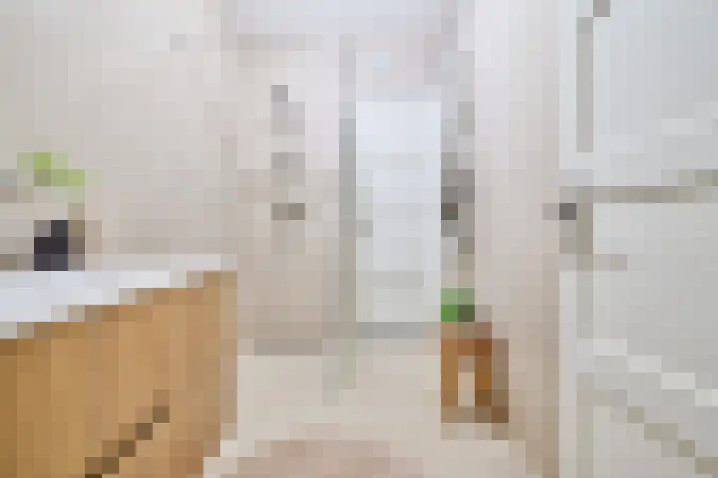 Aquamarijnlaan 17 Utrecht thumbnail 24