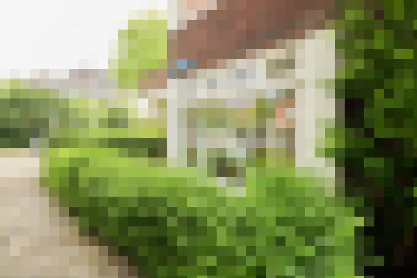 Aquamarijnlaan 17 Utrecht thumbnail 34