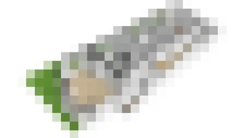 Aquamarijnlaan 17 Utrecht thumbnail 41