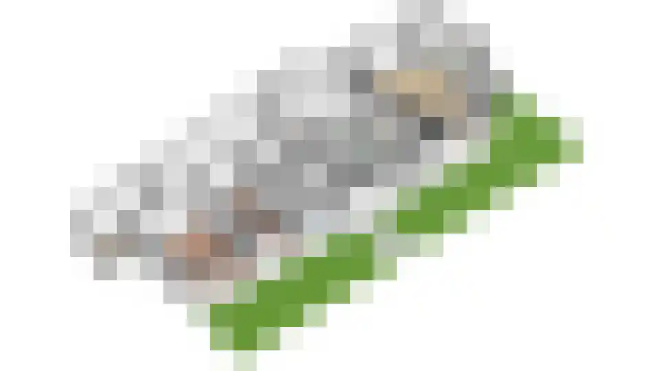 Aquamarijnlaan 17 Utrecht thumbnail 42