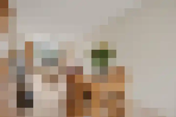 Aquamarijnlaan 41 Utrecht thumbnail 14