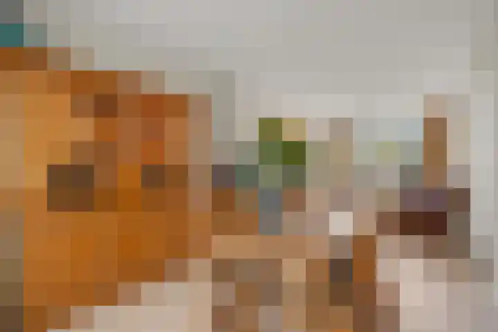 Aquamarijnlaan 41 Utrecht thumbnail 15