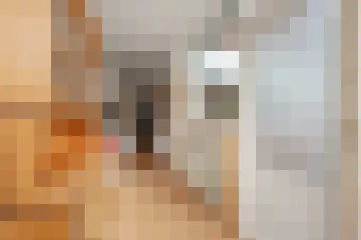 Aquamarijnlaan 41 Utrecht thumbnail 19