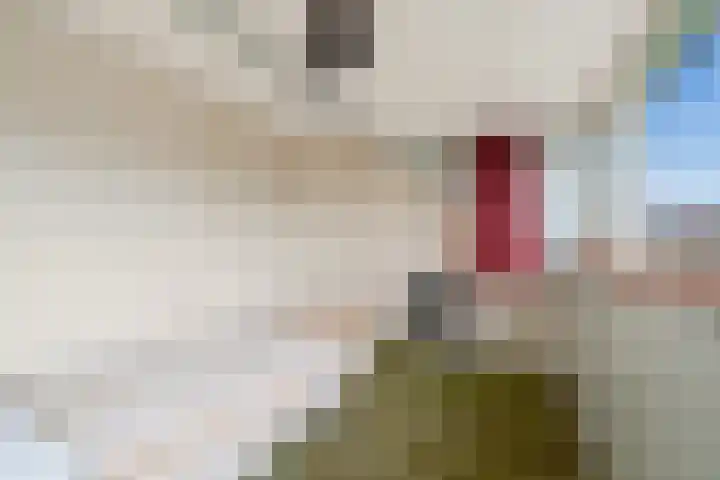 Aquamarijnlaan 41 Utrecht thumbnail 33