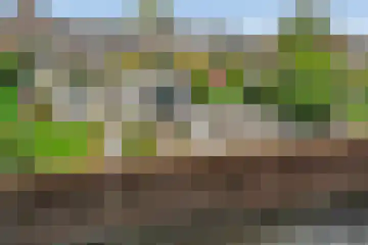 Aquamarijnlaan 41 Utrecht thumbnail 38