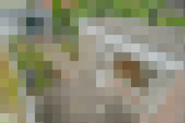 Aquamarijnlaan 41 Utrecht thumbnail 40
