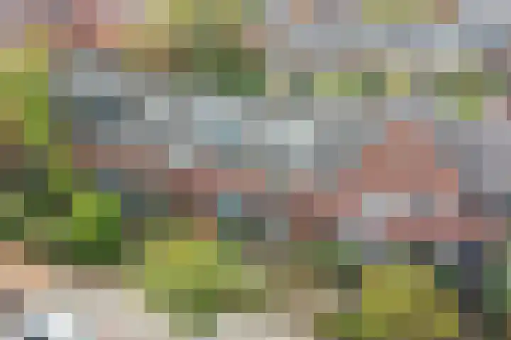 Aquamarijnlaan 41 Utrecht thumbnail 42