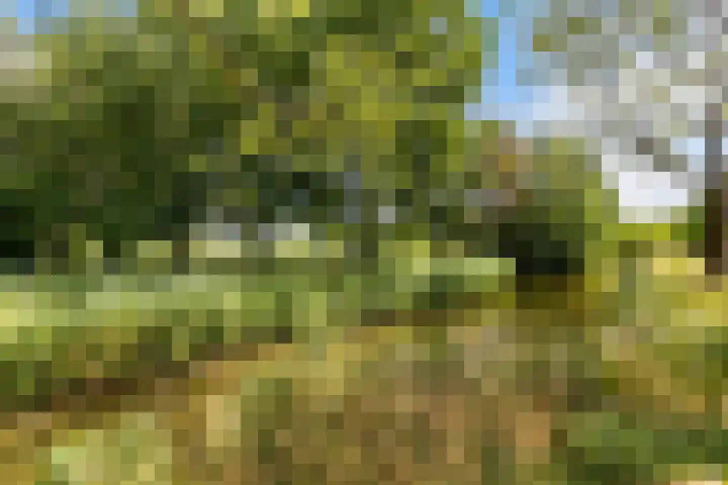 Aquamarijnpad 30 IJsselstein thumbnail 38