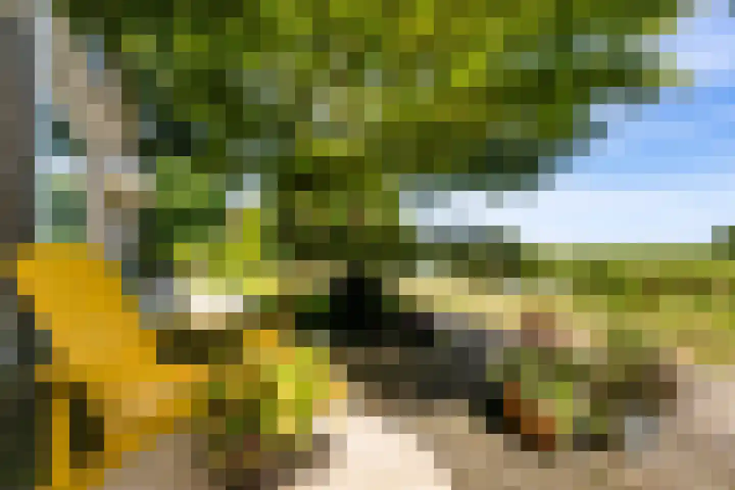 Aquamarijnpad 30 IJsselstein thumbnail 6