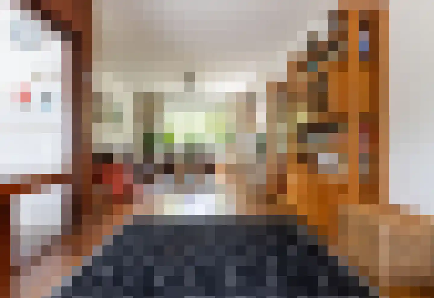 Aquamarijnstraat 11 Leiden thumbnail 9