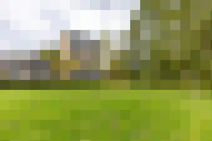 Aquamarijnstraat 121 Groningen thumbnail 32