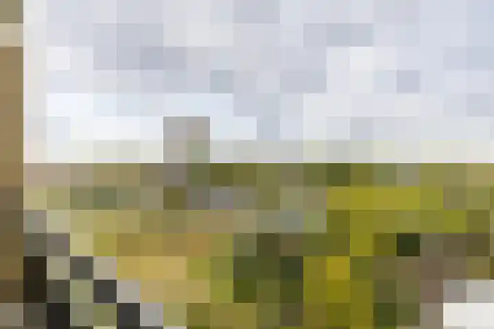 Aquamarijnstraat 121 Groningen thumbnail 33
