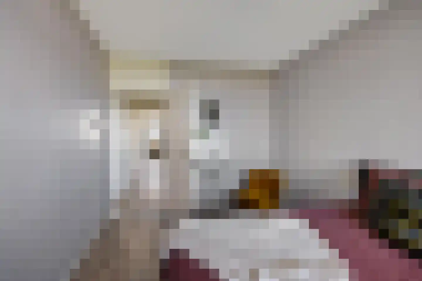 Aquamarijnstraat 145 Groningen thumbnail 20