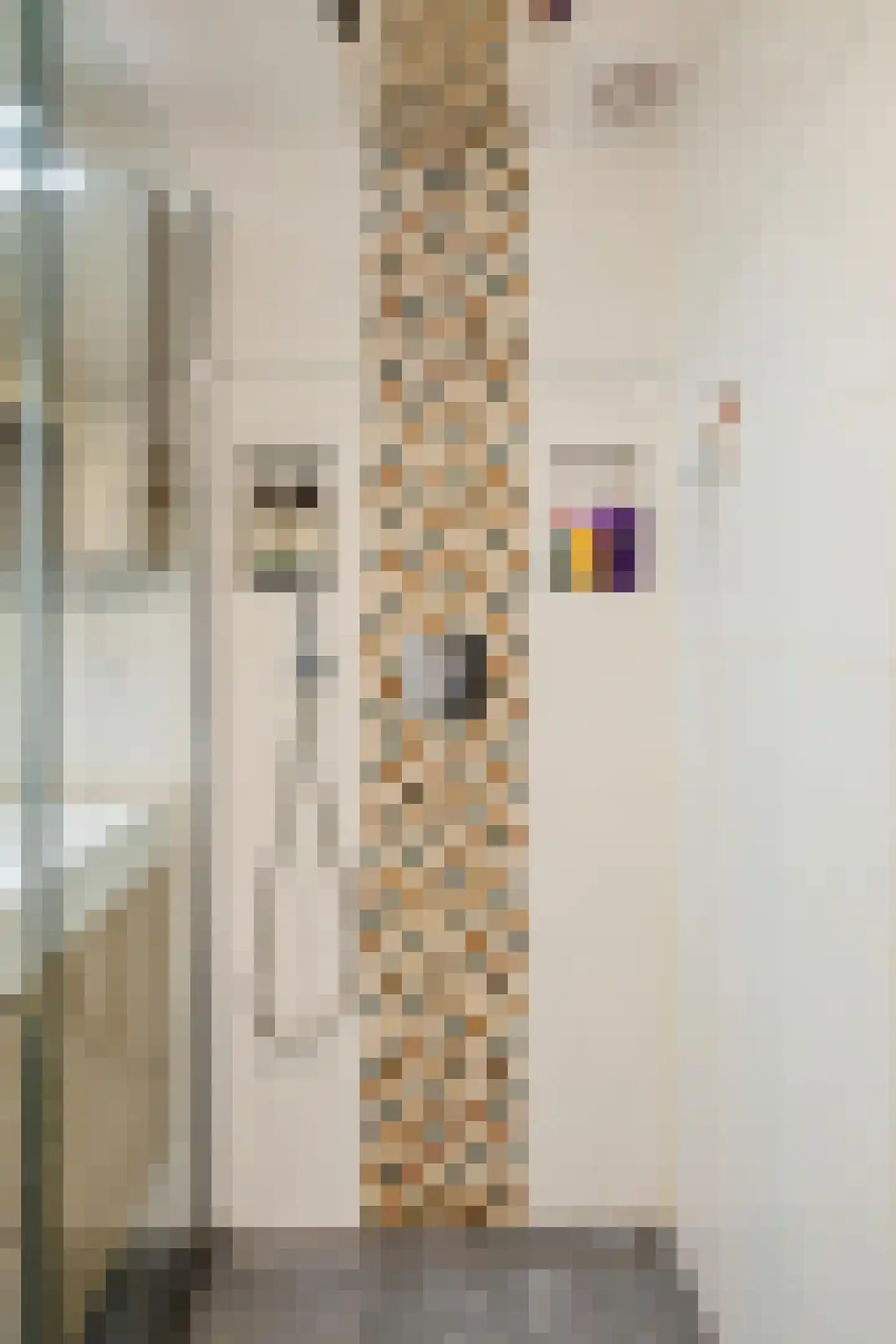 Aquamarijnstraat 33 Groningen thumbnail 27