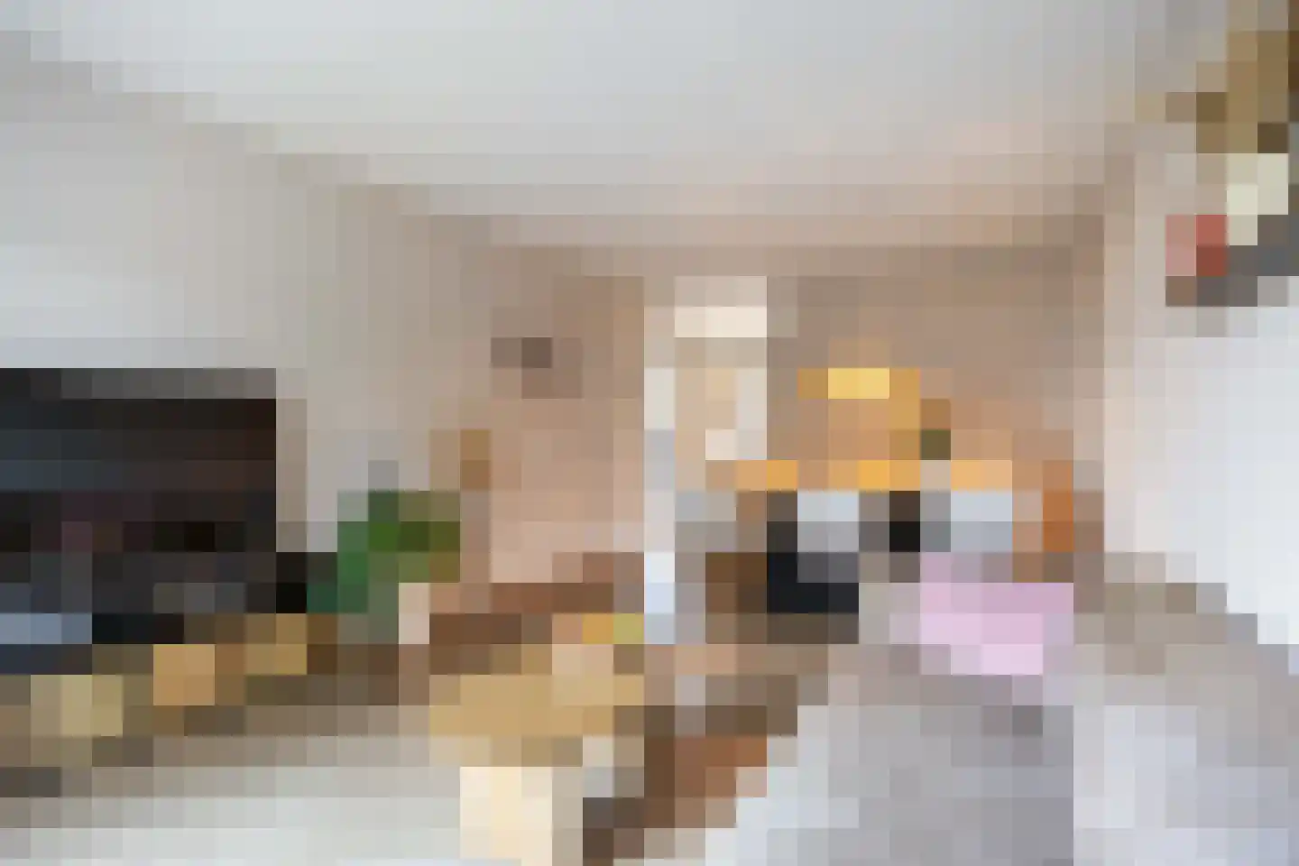 Aquamarijnstraat 41 Groningen thumbnail 28