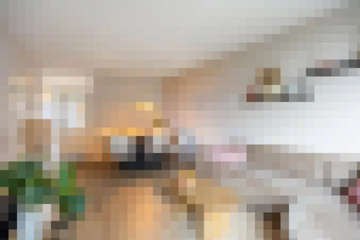 Aquamarijnstraat 41 Groningen thumbnail 30