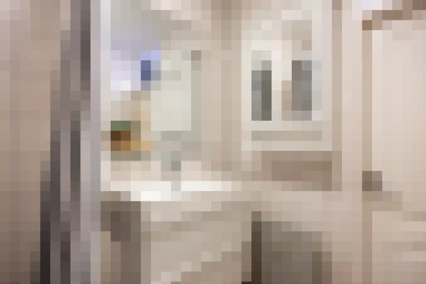 Aquamarijnstraat 41 Groningen thumbnail 40