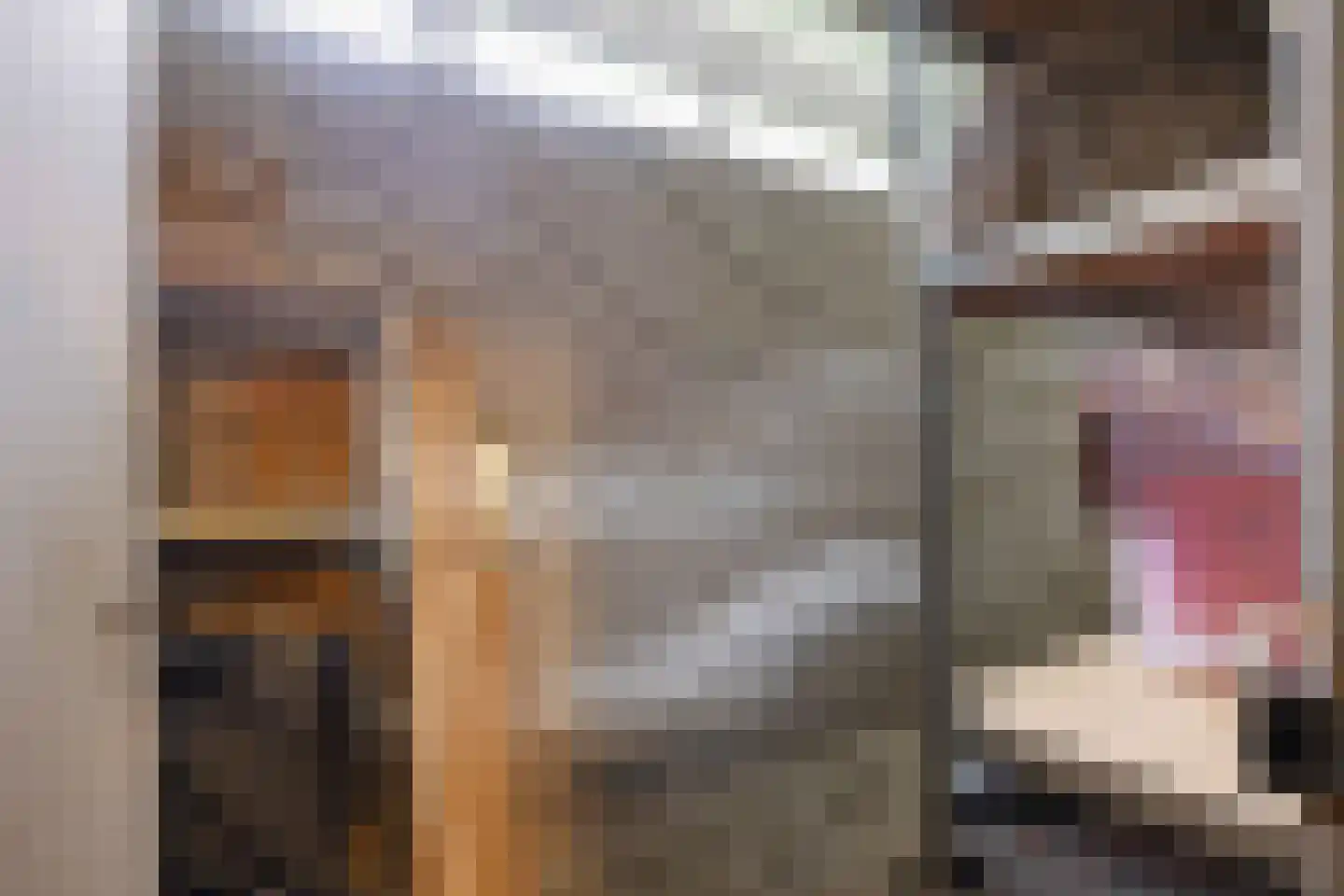 Aquamarijnstraat 41 Groningen thumbnail 45