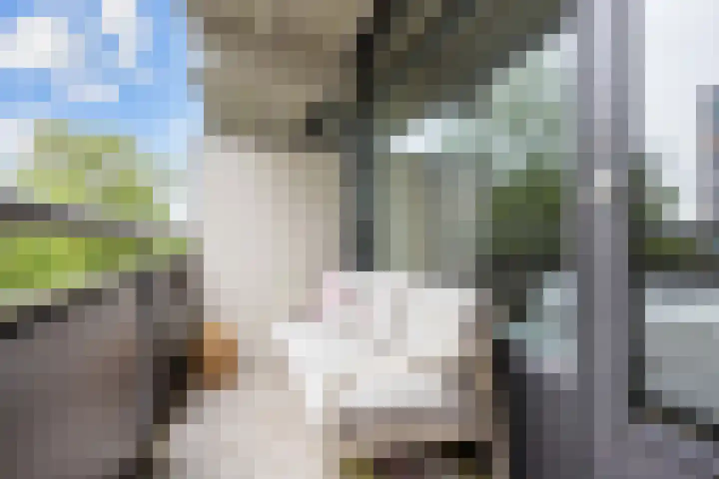 Aquamarijnstraat 41 Groningen thumbnail 6