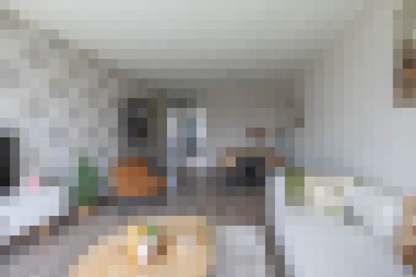 Aquamarijnstraat 51 Groningen thumbnail 10