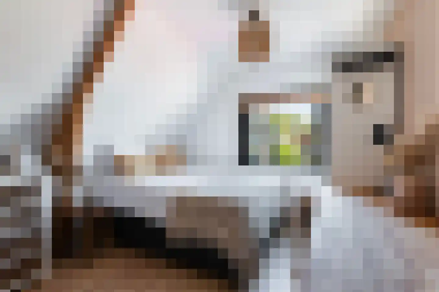 Aquamarijnstraat 57 Apeldoorn thumbnail 32
