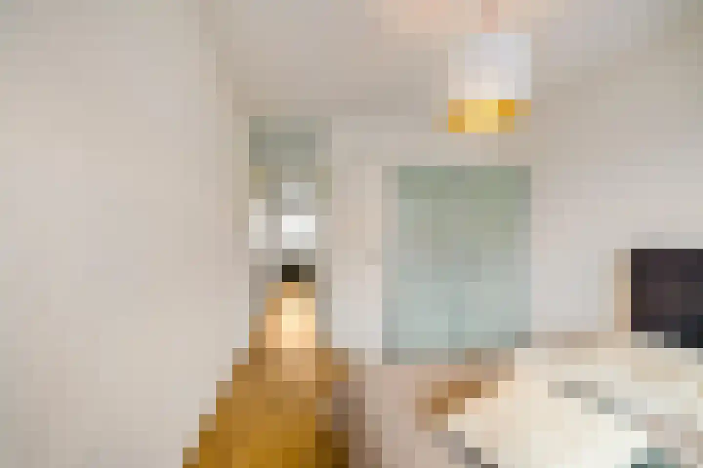Aquamarijnstraat 81 Groningen thumbnail 22