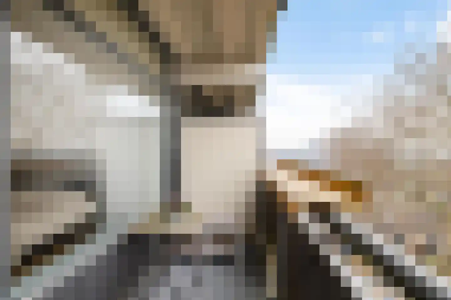 Aquamarijnstraat 81 Groningen thumbnail 24