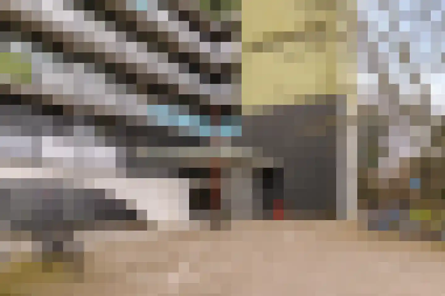 Aquamarijnstraat 81 Groningen thumbnail 4